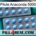 Anaconda 5000 Pill viagra4